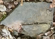 Photo of free Pieces of Slate or Bluestone (Port Murray, NJ) #1