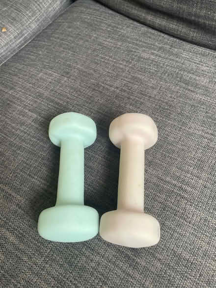 Photo of free 1kg weights (Richmond TW9) #1