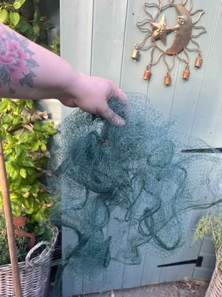 Photo of free Garden netting (RG42 Bracknell) #1