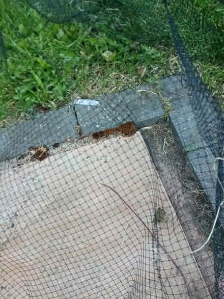 Photo of free Garden edging and mesh (Cossington (TA7)) #3