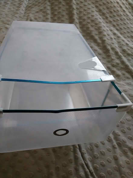 Photo of free Plastic storage boxes (Chatham ME4) #1