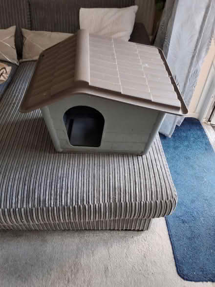 Photo of free Cat house (Shepway maidstone) #1