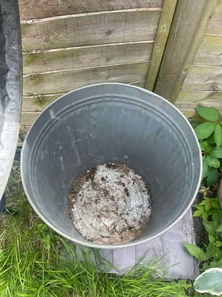 Photo of free Two metal trash cans/bins (SW17) #2