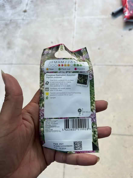 Photo of free Foxglove seeds (exp 12/24) (Malvern, WR14) #2
