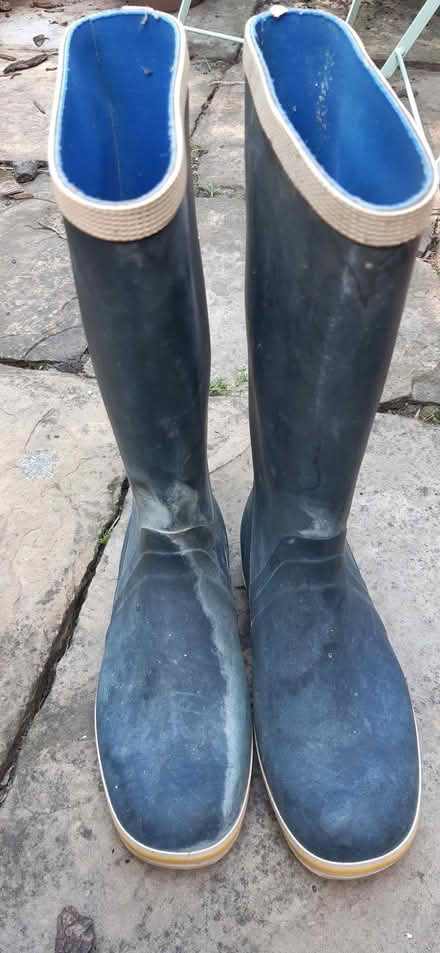 Photo of free Gill Wellington boots size UK 5.5 (Upper Holloway N19) #3