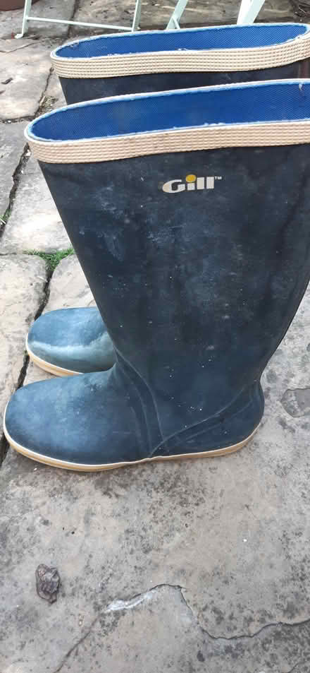 Photo of free Gill Wellington boots size UK 5.5 (Upper Holloway N19) #2