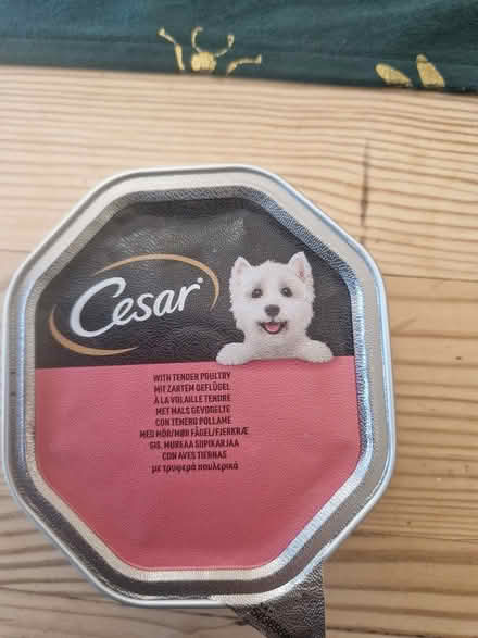 Photo of free Dog food (CR0 New Addington) #1