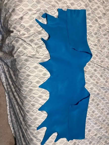 Photo of free Dress Up Wings (Lee Chapel & Ffx Co Pkwy) #2