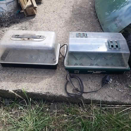 Photo of free propagates (Southmead) #2