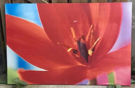 Photo of free 2 canvas pictures. (Lochart Mill ML11) #1