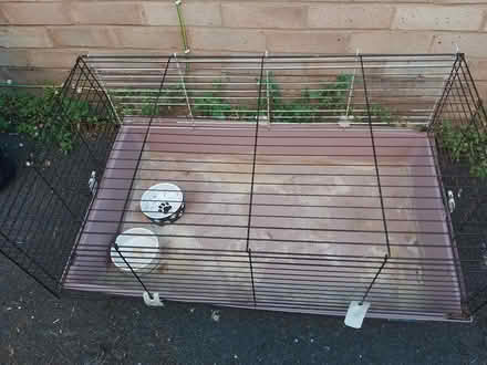 Photo of free Guinea pig cage (The Reddings) #1