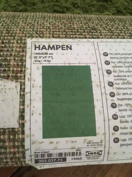 Photo of free Green rug (Cann Hall E7) #2