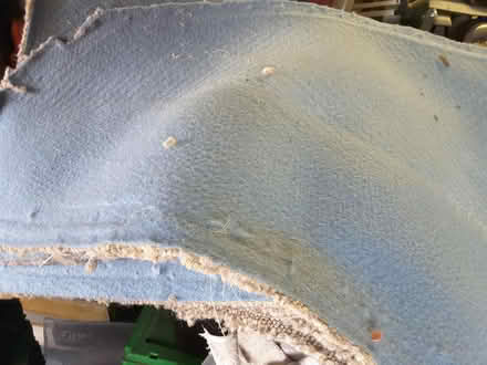 Photo of free oatmeal carpet 6ft x 5 ft plus several offcuts (The Rock TF3) #2