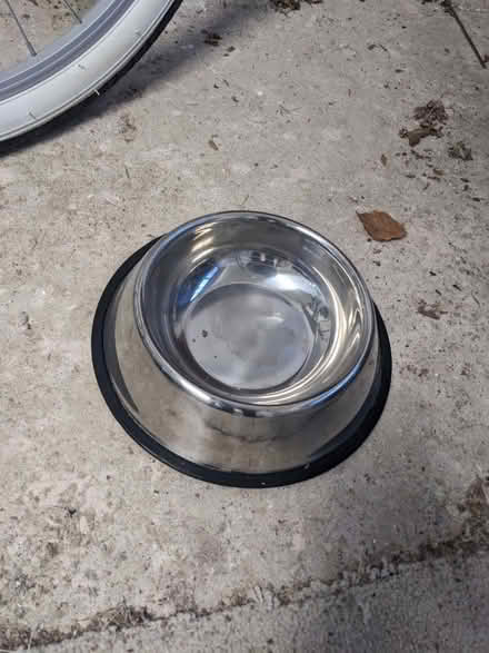 Photo of free dog bowl (Haddenham HP17) #1