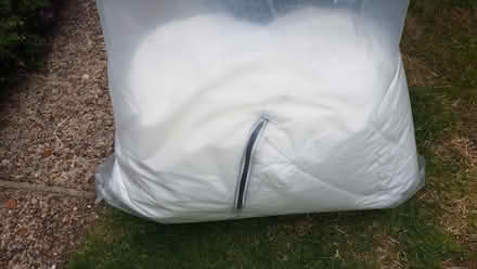 Photo of free Bean bag filling - polystyrene beans (Priory Ward EX2) #3