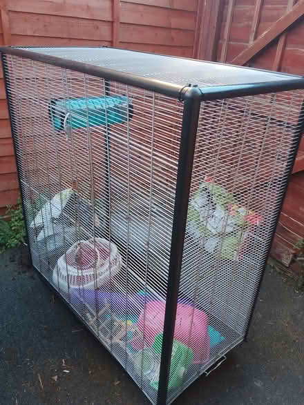 Photo of free Rat's Cage (The Reddings) #1