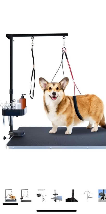 Photo of free Dog grooming harness (94707) #1