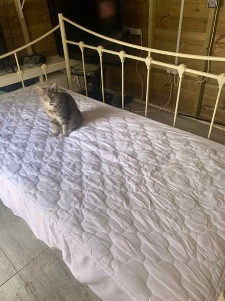 Photo of free Day bed (Bramley) #1