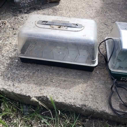 Photo of free propagates (Southmead) #3