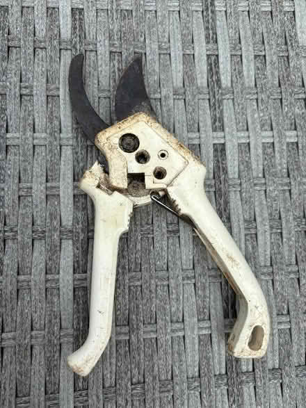 Photo of free Secateurs (Ensleigh) #1