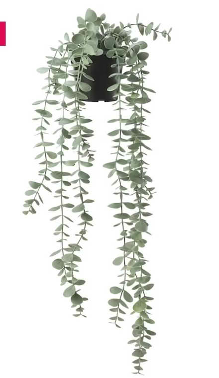 Photo of Fake hanging plants (Brimscombe GL5) #1