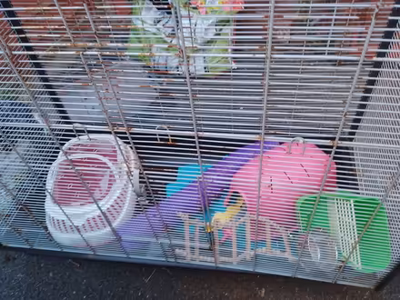 Photo of free Rat's Cage (The Reddings) #2