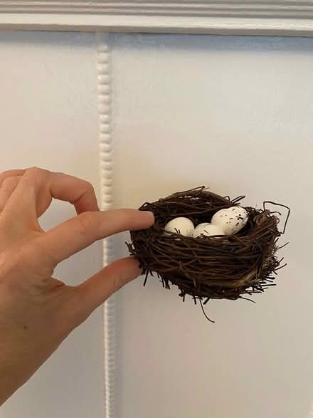 Photo of free Six Craft Nests and Eggs (Oakland) #2