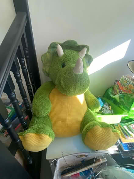 Photo of free Giant Dog and Dino teddys (KT9 Chessington) #2