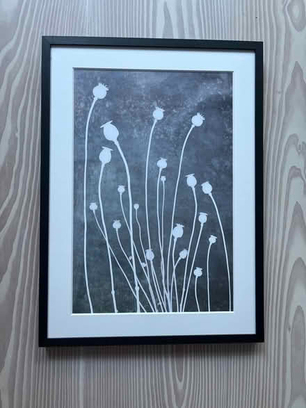 Photo of free Picture in black frame (Highbury and Islington) #1