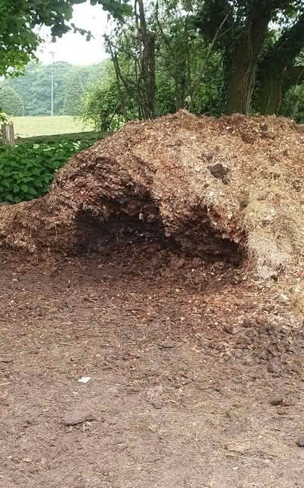 Photo of free Well rotted horse manure (Battle TN33) #1