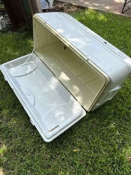 Photo of free Igloo cooler / ice chest (Bois D’Arc Estates) #1