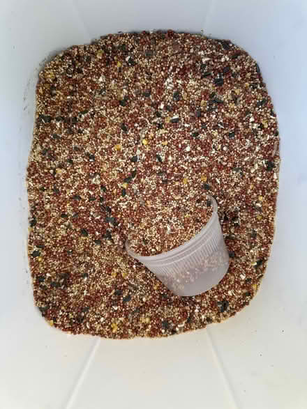 Photo of free Bird Seed (La Canada Flintridge) #2