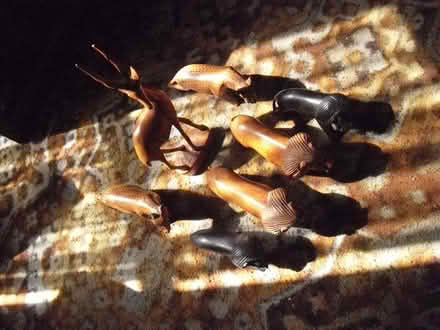 Photo of free Wooden animals figures (Grange Court E10) #1