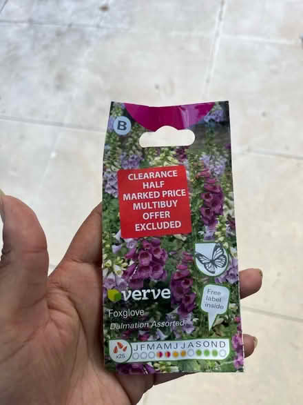 Photo of free Foxglove seeds (exp 12/24) (Malvern, WR14) #1