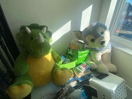 Photo of free Giant Dog and Dino teddys (KT9 Chessington) #1