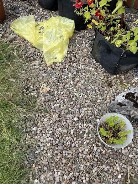 Photo of free Pebbles/small garden rocks (Kingstanding B44) #1