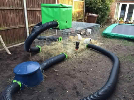 Photo of free Runabout Rabbit Run (Farnborough GU14) #1