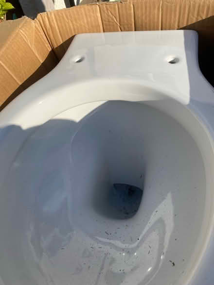 Photo of free Back to wall toilet (Baldock SG7) #3
