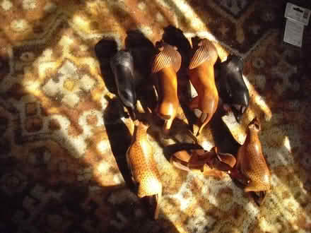 Photo of free Wooden animals figures (Grange Court E10) #4