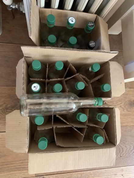 Photo of free Glass bottles with lids (The Goggin SY8) #1