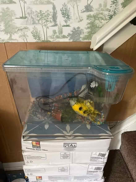 Photo of free Small fish tank (BA11) #1