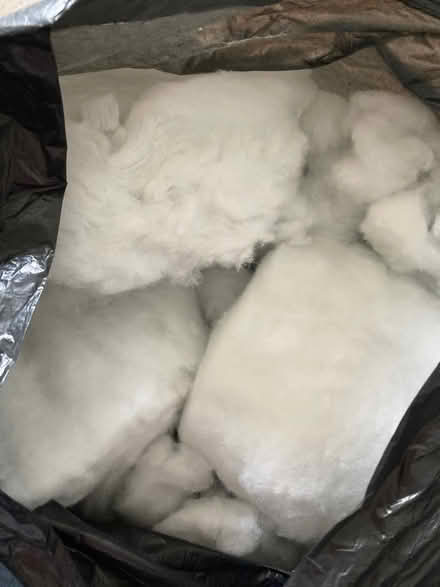 Photo of free Cushion stuffing (Mildmay N1) #1