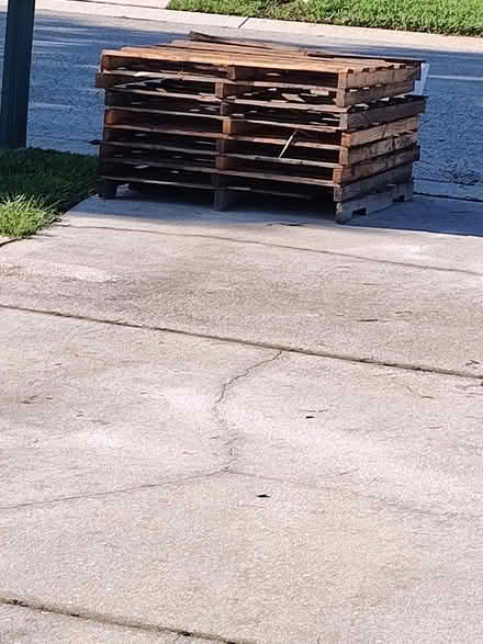 Photo of free 8 wood pallets (Seffner, FL) #1