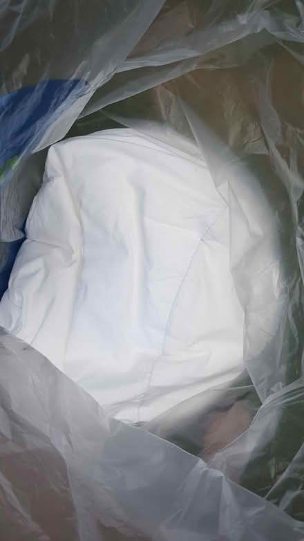 Photo of free Bean bag filling - polystyrene beans (Priory Ward EX2) #2