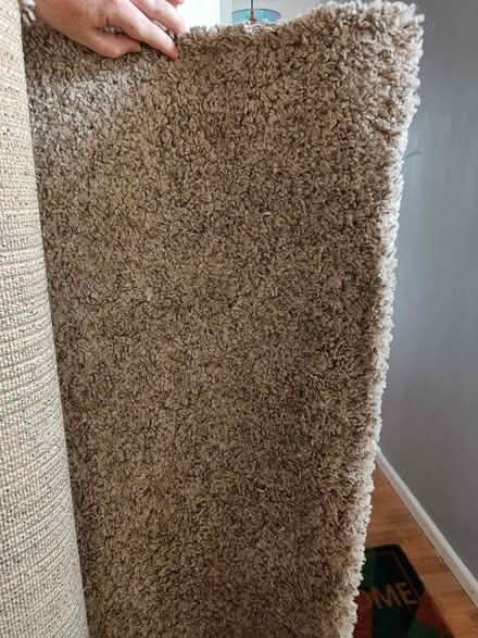 Photo of free Rug (Bristol, patchway) #1