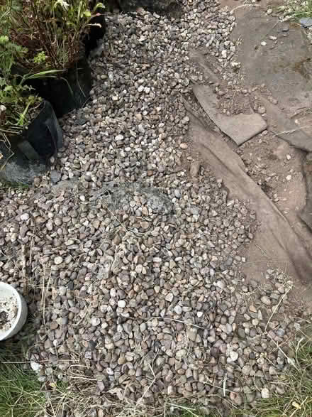 Photo of free Pebbles/small garden rocks (Kingstanding B44) #3