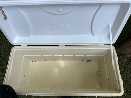 Photo of free Igloo cooler / ice chest (Bois D’Arc Estates) #3