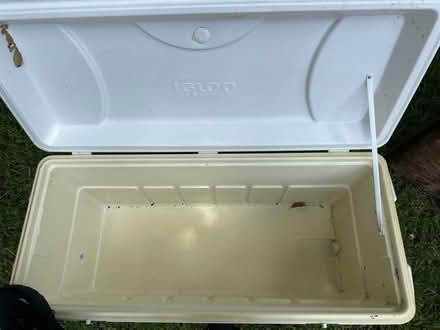 Photo of free Igloo cooler / ice chest (Bois D’Arc Estates) #3