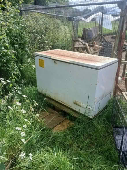 Photo of free Old freezer (Sharnbrook MK44) #1