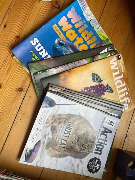 Photo of free Wildlife magazines (Surrenden BN1) #1